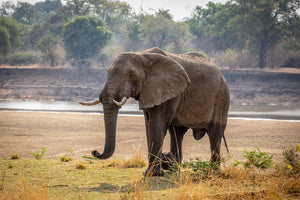 Warm Heart Of Africa Tour 2019 PART 2