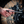 MotoPressor Pencil Tyre Gauge