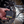 MotoPressor MicroPump